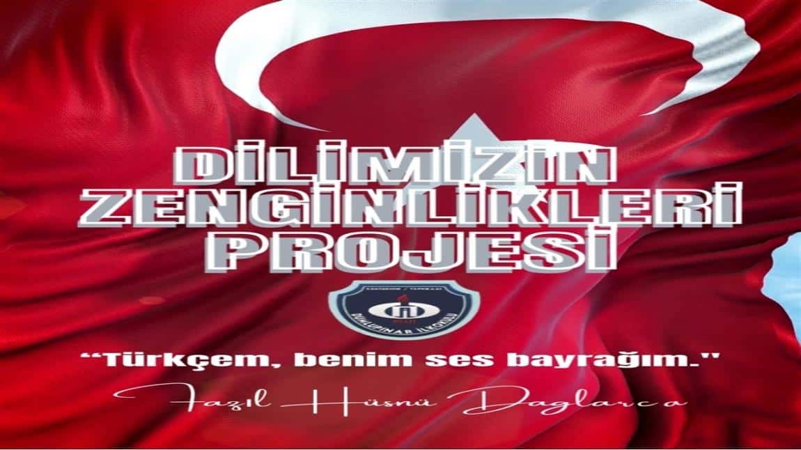 DİLİMİZİN ZENGİNLİKLERİ PROJESİ